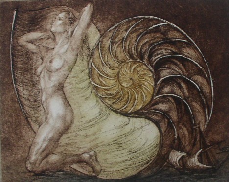 Barbara Rosiak Galeria Sztuki Katarzyny Napirokowskiej (20)